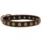 Leather Belgian Malinois Collar with Brass Dotted Circles for Fashion Walking