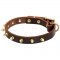 Designer Leather Belgian Malinois Collar with Brass Spikes