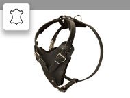Leather Dog Harness
