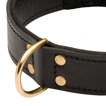 Brass D-ring Stitched to Leather Belgian Malinois Collar