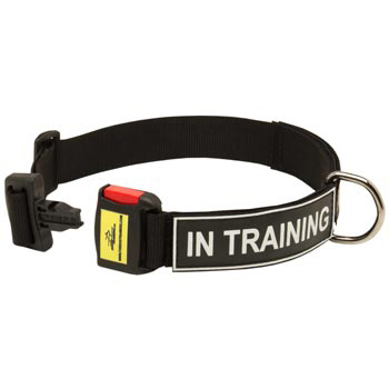 Nylon Dog Collar for Belgian Malinois Police Training