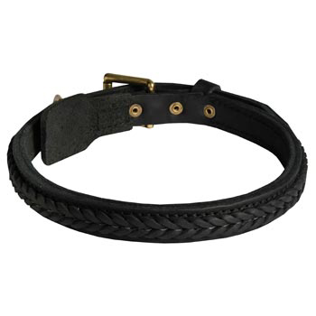 Braided Leather Collar for Belgian Malinois