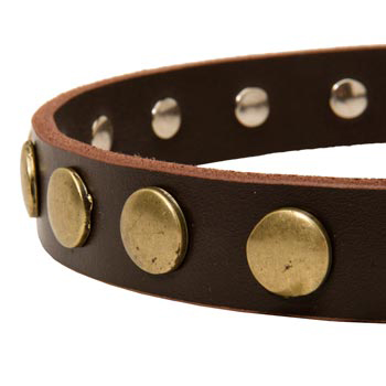 Designer Leather Dog Collar for Walking Belgian Malinois