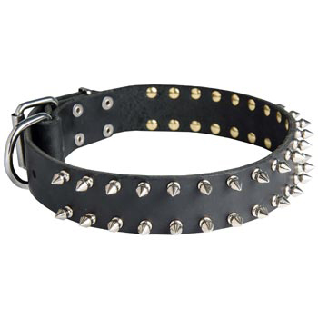 Spiked Leather Collar for Belgian Malinois