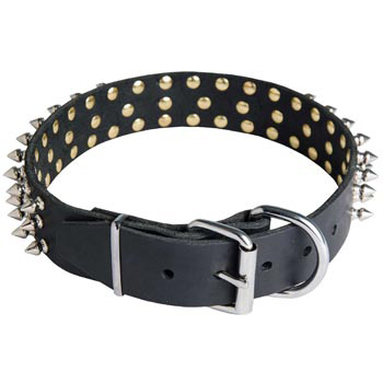 Spiked Buckle Collar for Belgian Malinois
