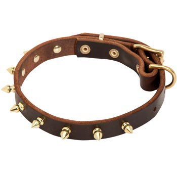 Leather Belgian Malinois Collar with Brass Spikes
