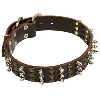 Belgian Malinois Handmade Leather Collar 3  Studs and Spikes Rows