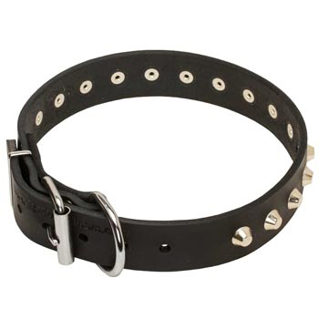 Training Walking Leather Dog Collar with Buckle for Belgian Malinois