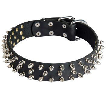 Leather Belgian Malinois Collar with Spikes