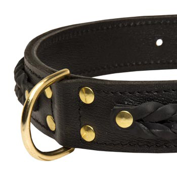 Belgian Malinois Wide Leather Collar with D-ring