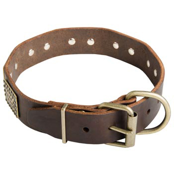 War-Style Leather Collar for Belgian Malinois