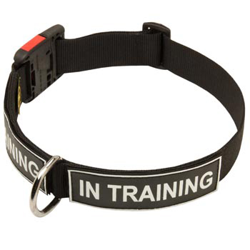 Nylon Belgian Malinois Collar With ID Patches