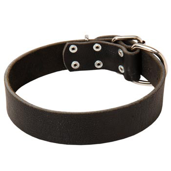 Unbelievable Belgian Malinois Strict Style Leather Dog  Collar