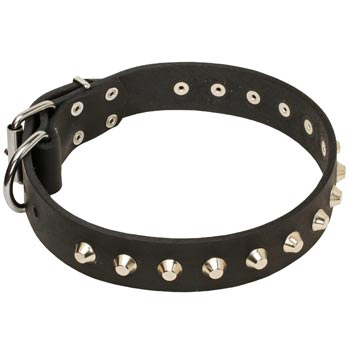 Soft Leather Belgian Malinois Collar with Nickel Studs