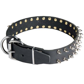 Spiked Leather Dog Collar for Belgian Malinois Fashion Walking