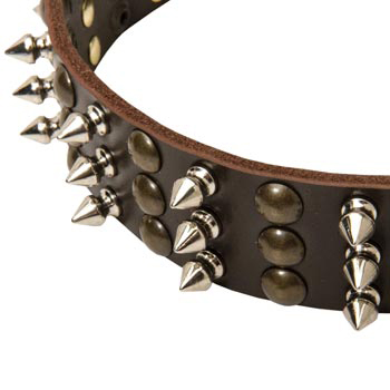 3 Rows of Spikes and Studs Decorative Belgian Malinois  Leather Collar