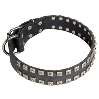 Leather Belgian Malinois Collar Wide Strong Studded