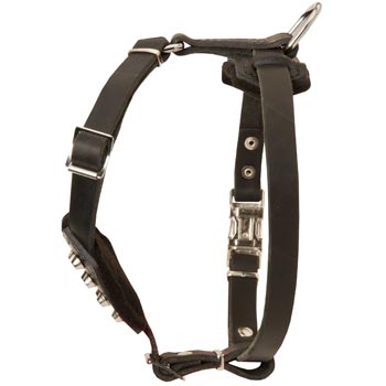 Leather Belgian Malinois Puppy Harness for Comfy Walking