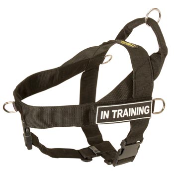 Belgian Malinois Nylon Harness with ID Patches