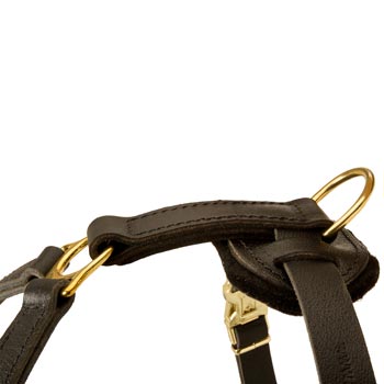 Corrosion Resistant D-ring of Belgian Malinois Harness
