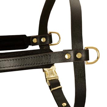 Training Pulling Belgian Malinois Harness with Sewn-In Side D-Rings