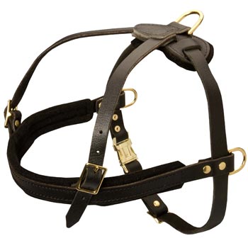 Leather Belgian Malinois Harness for Dog Off Leash Training