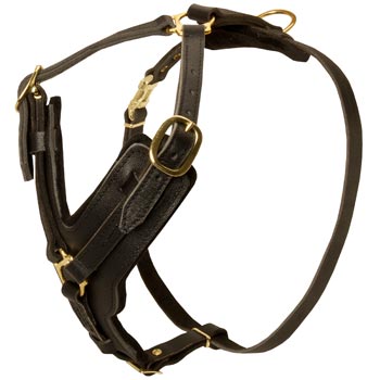 Comfortable Y-Shaped Leather Harness for Belgian Malinois Attack  Training