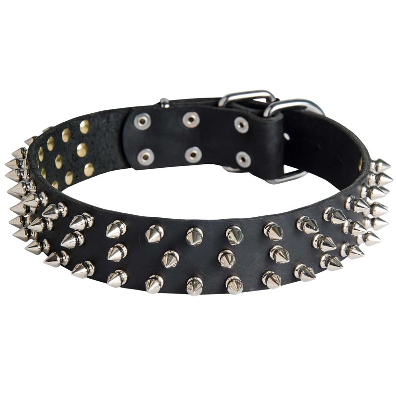 Leather Belgian Malinois Collar with 3 Rows of Nickel Spikes