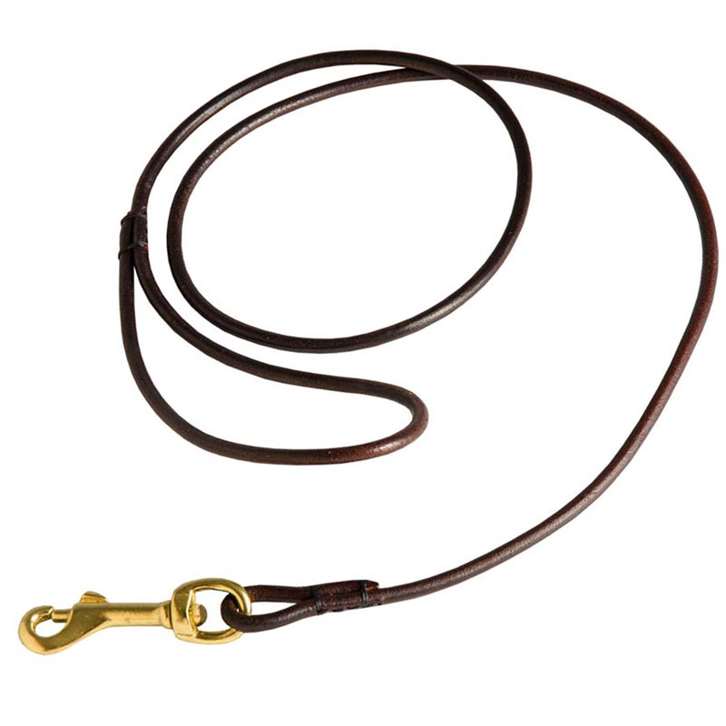 Fully Beneficial Show Leather Belgian Malinois Leash - Comfort for You and Your Dog