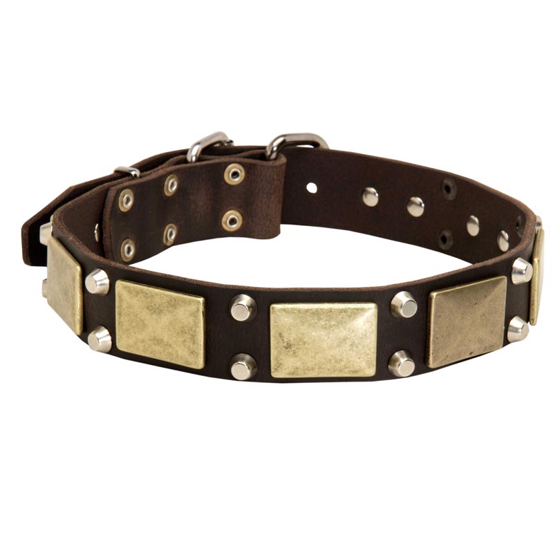 Leather Belgian Malinois Collar with Studs and Plates