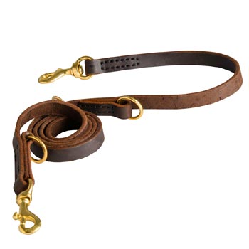 Strong Leather Leash for Belgian Malinois Successful Training