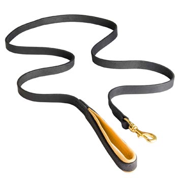 Padded Leather Leash for Belgian Malinois Comfortable Walking