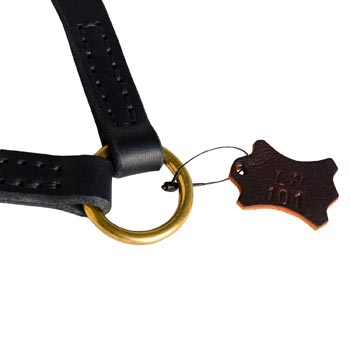 Belgian Malinois Leather Coupler with Rust-proof O-ring
