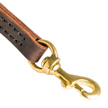 Belgian Malinois Leather Leash with Brass Hardware