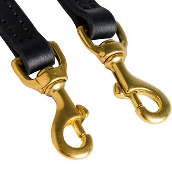 Leather Leash for Belgian Malinois with Rust Resistant Snap Hooks