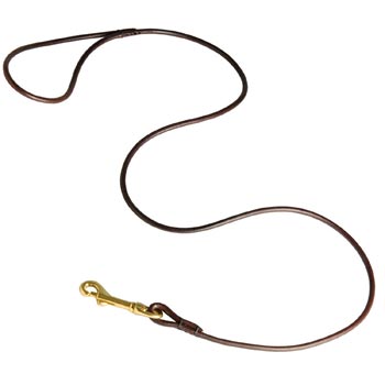 Leather Canine Leash for Belgian Malinois Presentation at Dog Shows
