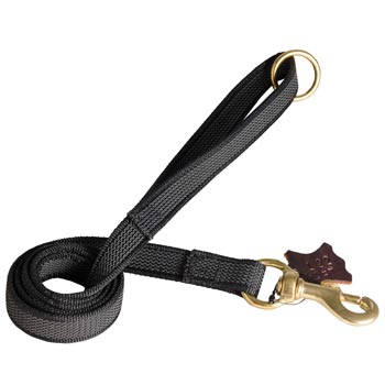 Nylon Leash for Belgian Malinois Training will Help to Achieve Great Results
