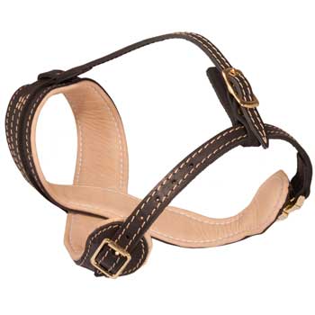 Belgian Malinois Muzzle Leather Easy Adjustable with Quick Release Buckle