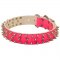 Designer Spiked Pink Leather Belgian Malinois Collar for Walking Female Canines