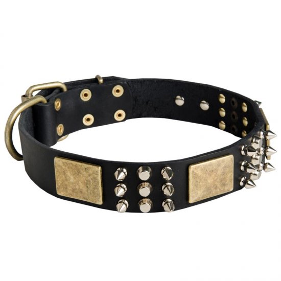 stylish dog collars