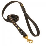 Studded Leather Belgian Malinois Leash for Dog Walking and Training