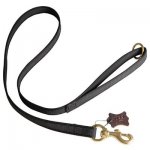 All Weather Nylon Belgian Malinois Leash for Walking and Training Activities