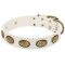 White Leather Belgian Malinois Collar with Brass Oval Plates