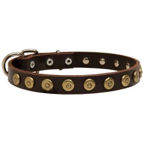 Leather Belgian Malinois Collar with Brass Dotted Circles for Fashion Walking