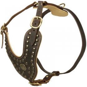 Royal Design Leather Belgian Malinois Harness with Brass Studs