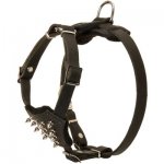Durable Spiked Leather Puppy Belgian Malinois Harness