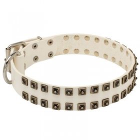 White Leather Belgian Malinois Collar with Old Nickel Square Studs for Daily Dog Walking - NEW OFFER