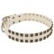 White Leather Belgian Malinois Collar with Old Nickel Square Studs for Daily Dog Walking - NEW OFFER
