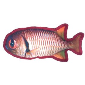 11" Tropical Snapper