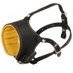 Snout Short Leather Belgian Malinois Muzzle Padded with Nappa Leather